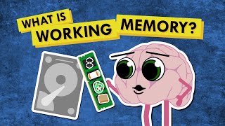 Why I Cant Remember Things  How ADHD Affects Working Memory [upl. by Enalb]