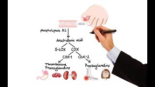 Pharmacology  NSAIDs amp PROSTAGLANDIN ANALOGS MADE EASY [upl. by Llerdnod]