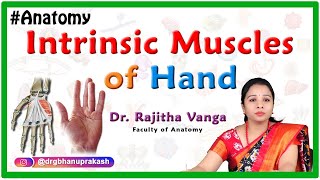 Intrinsic Muscles of the Hand [upl. by Wivina]