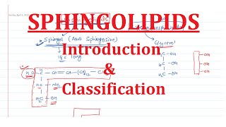 21 Sphingolipids Introduction amp Classification [upl. by Putscher858]