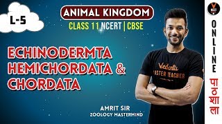 Echinodermata Hemichordata and Chordata  Animal Kingdom CBSE Class 11 Biology Chapter 4NEET 2020 [upl. by Schach]