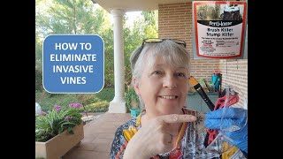 HOW TO ELIMINATE INVASIVE VINES  BE CAREFUL WHAT YOU PLANT [upl. by Danaher]