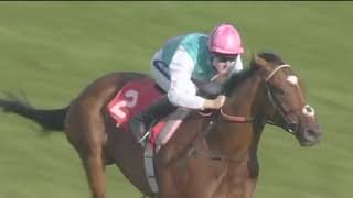 Frankel wins by 13 lengths as a baby [upl. by Alit]