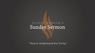 How To Understand the Trinity — Bishop Barron’s Sunday Sermon [upl. by Eelam813]