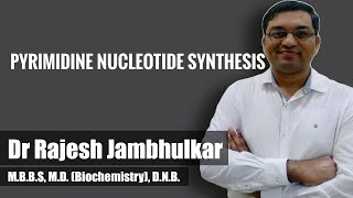 Pyrimidine nucleotide synthesis and degradation [upl. by Ellitnahc]