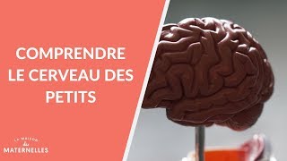 Comprendre le cerveau des petits  La Maison des maternelles LMDM [upl. by Nnaitak]