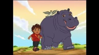 Go Diego Go  Diego Reunites Hippo [upl. by Haggi]