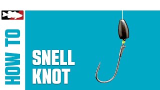 HowTo Tie a Snell Knot [upl. by Ridinger]