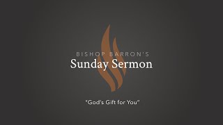 God’s Gift for You — Bishop Barron’s Sunday Sermon [upl. by Allcot757]