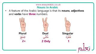 Beginners Arabic  Lesson 13  Dual Nouns in Arabic [upl. by Anev]