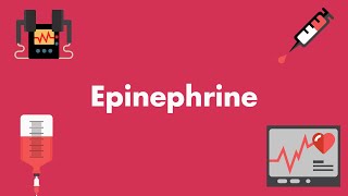 Epinephrine  Vasopressors amp Inotropes  MEDZCOOL [upl. by Socher]