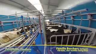 Dairymaster Schnellaustrieb amp Swing Over Melkstand [upl. by Enayr562]