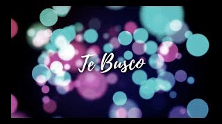 EDITH ARAVENA  PRESENTE  TE BUSCO VIDEO LYRICS [upl. by Azenav]