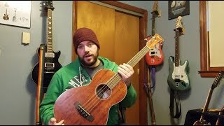 Ibanez AcousticElectric Bass PNB14E Parlor Demo Review [upl. by Wojcik]