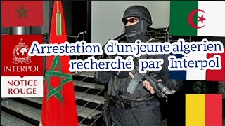 Algerie Belgique Maroc  Arrestation dun jeune algerien recherché par Interpol [upl. by Assiled]