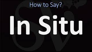 How to Pronounce In Situ CORRECTLY [upl. by Euqinitram733]