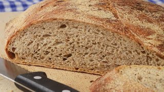 No Knead Rye Bread Recipe Demonstration  Joyofbakingcom [upl. by Aicital]