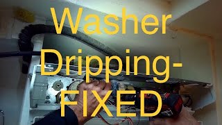 ✨ WASHER KEEPS DRIPPING WATER—FIXED ✨ [upl. by Pappano]