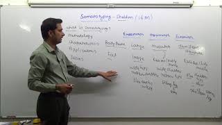 Q8c Discuss Sheldons method of somatotyping UPSC 2017 Paper 1 15m [upl. by Hcra]