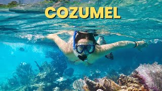 The BEST Way To Visit Cozumel Mexico Snorkeling at El Cielo [upl. by Olsewski]