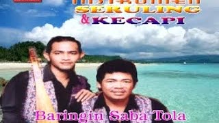 Posther Sihotang Feat Waren Sihotang  Baringin Saba Tola Official Music Video [upl. by Ahsirek29]