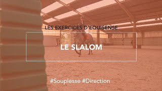 Le slalom [upl. by Aikehs]