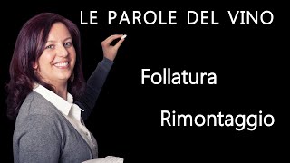 Follatura e Rimontaggio  Le parole del vino  Tutorial Vino Italiano [upl. by Htebarual]