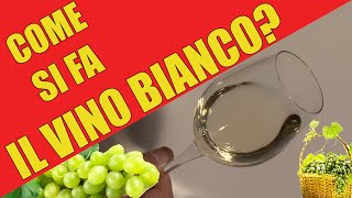 Come si produce il vino bianco [upl. by Childers]