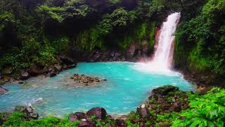 Rio Celeste Waterfall  Tenorio Volcano National Park Costa Rica [upl. by Dleifyar]