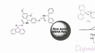 Fmoc Solid Phase Peptide Synthesis [upl. by Lerat85]