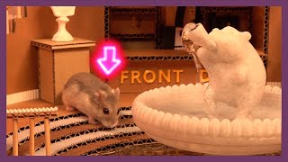 햄스터 전용 호텔 Hamster Hotel [upl. by Ainit]