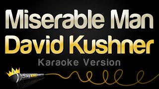 David Kushner  Miserable Man Official Audio [upl. by Loftis79]