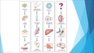 Pathology  Introduction and disease nomenclature [upl. by Nycila290]