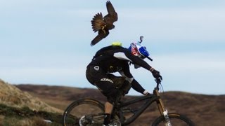 Gee Atherton gets hunted by a Peregrine Falcon [upl. by Airemat]