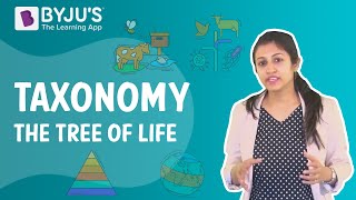 Taxonomy  The Tree Of Life I Class 9 I Learn With BYJUS [upl. by Hadeehuat]