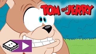 Tom amp Jerry  Lets Play Ball  Boomerang UK [upl. by Anderer]