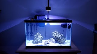 Build A 10g Nano Reef On A Budget 2020 Edition [upl. by Maryellen218]