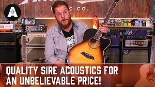 Unbelievable Acoustics for the Price  Sire Larry Carlton A4 Guitars [upl. by Cecil]