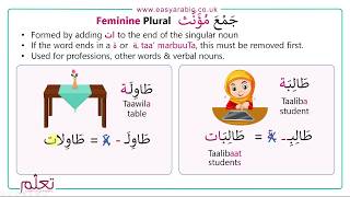 Beginners Arabic  Lesson 14  Arabic Plurals [upl. by Omixam]