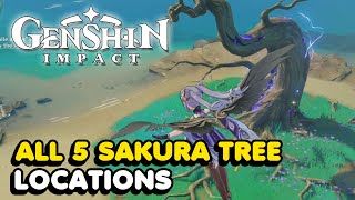 All 5 Sakura Tree Locations In Genshin Impact Sakura Arborism World Quest Guide [upl. by Ennaillij399]