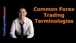 Forex Trading for Beginners 4 Common Forex Trading Terminologies by Rayner Teo [upl. by Soalokin]