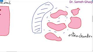 Systemic pathology 31  bone 1  bone tumors 1  DRSAMEH GHAZY [upl. by Tammie]