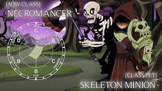 AQW Necromancer Overview [upl. by Talanta]