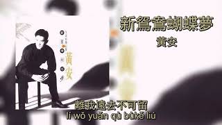 新鴛鴦蝴蝶夢  黃安  Xin Yuan Yang Hu Die Meng  Huang An Lyrics  Pinyin [upl. by Yorled397]