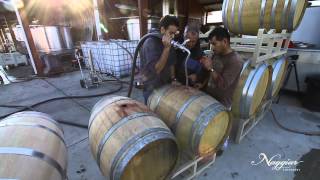 Vine to Wine Winemaking at Naggiar Vineyards [upl. by Goraud778]