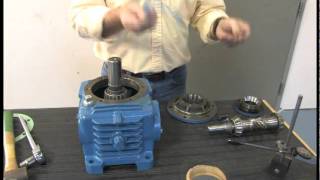 How To Change Bearings on Cone Drive Gearbox [upl. by Anauj713]