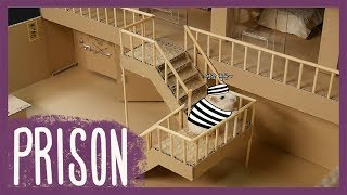 햄스터 콩이 감옥탈출 Hamster KONG Prison break [upl. by Esinyt]