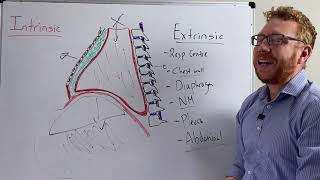 Restrictive Pulmonary Disease  Causes and Spirometry [upl. by Ayokal]