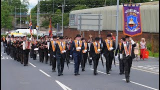 Portadown 12th July Parade 2019 [upl. by Eseerehc918]