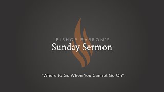 Where to Go When You Cannot Go On — Bishop Barron’s Sunday Sermon [upl. by Adriana]